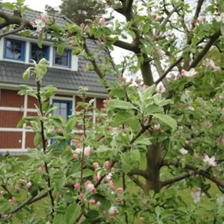 An Der Feuerwache 1 _kaeptns Stube